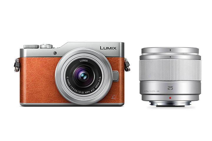 デジタルカメラ LUMIX DC-GF9