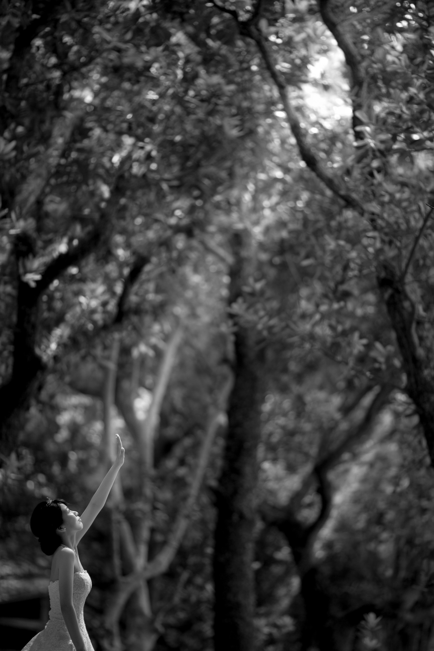 「木漏れ日みっけ」 石垣島