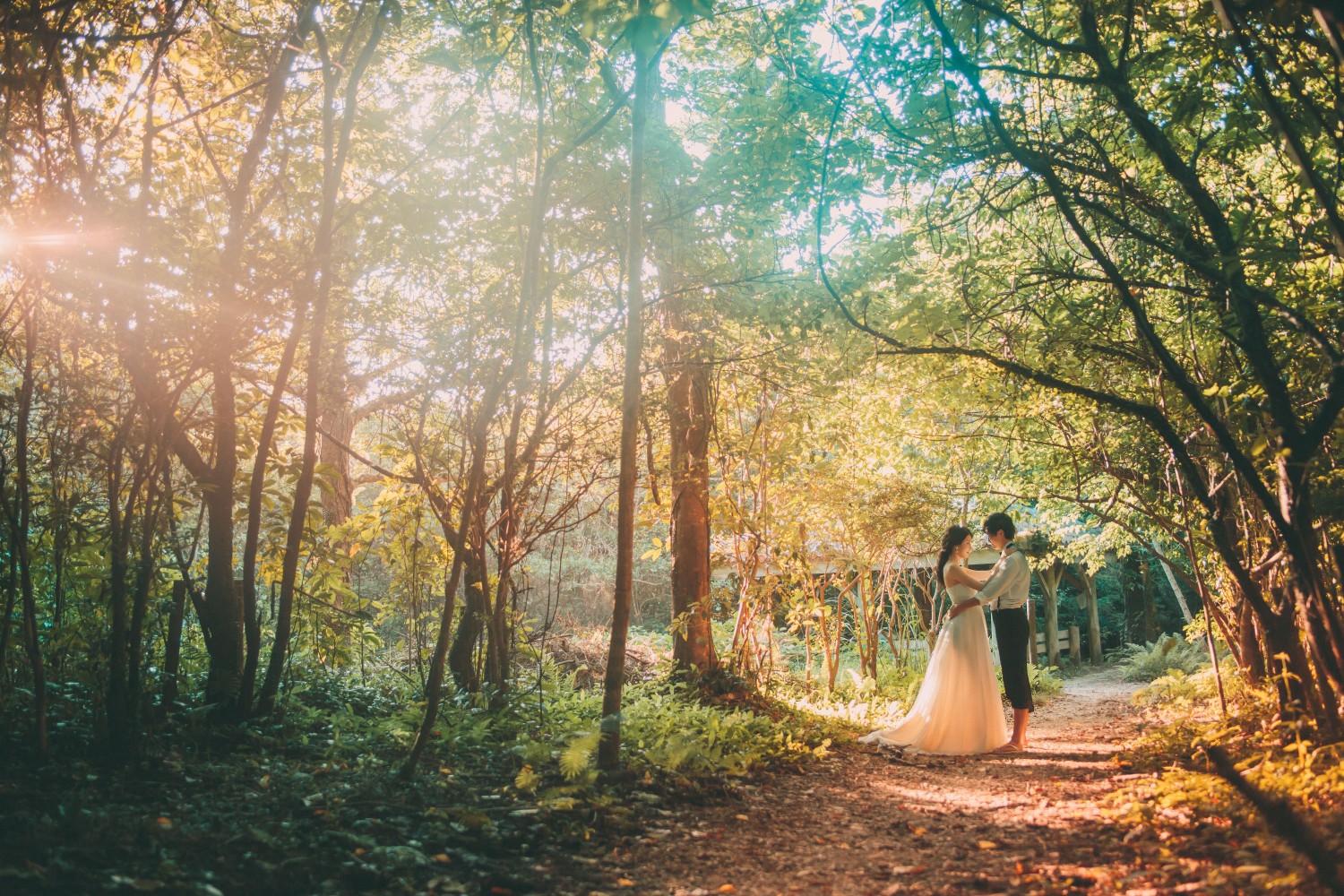 「撮る結婚式　山原の森」 山原の森(名護市)