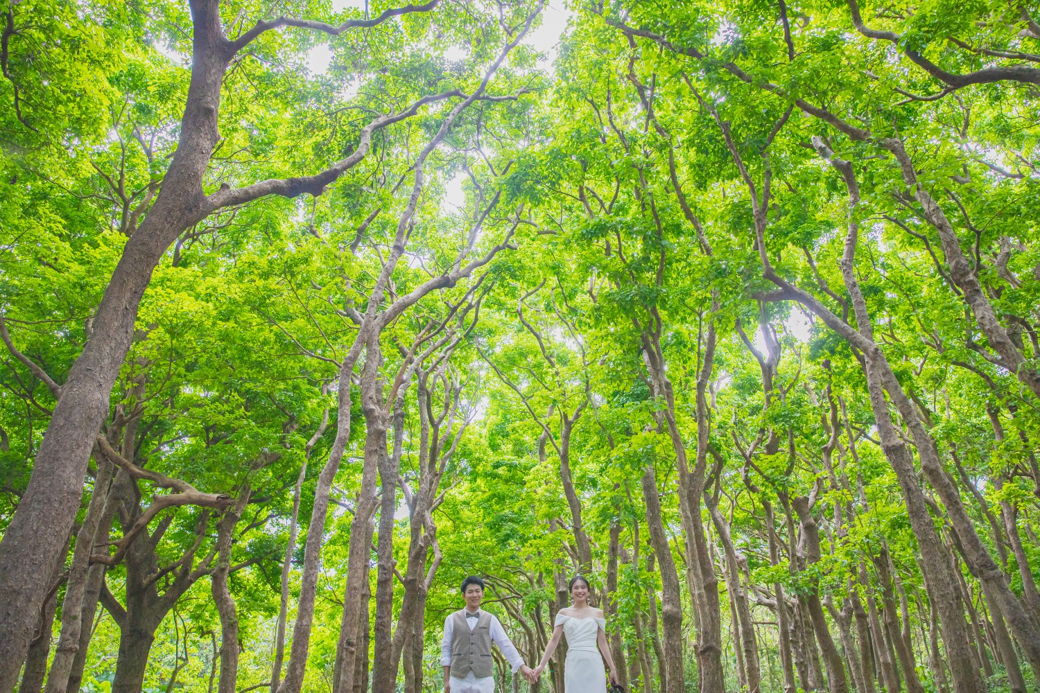 「大自然の中で」 熱帯植物園付近(宮古島市)