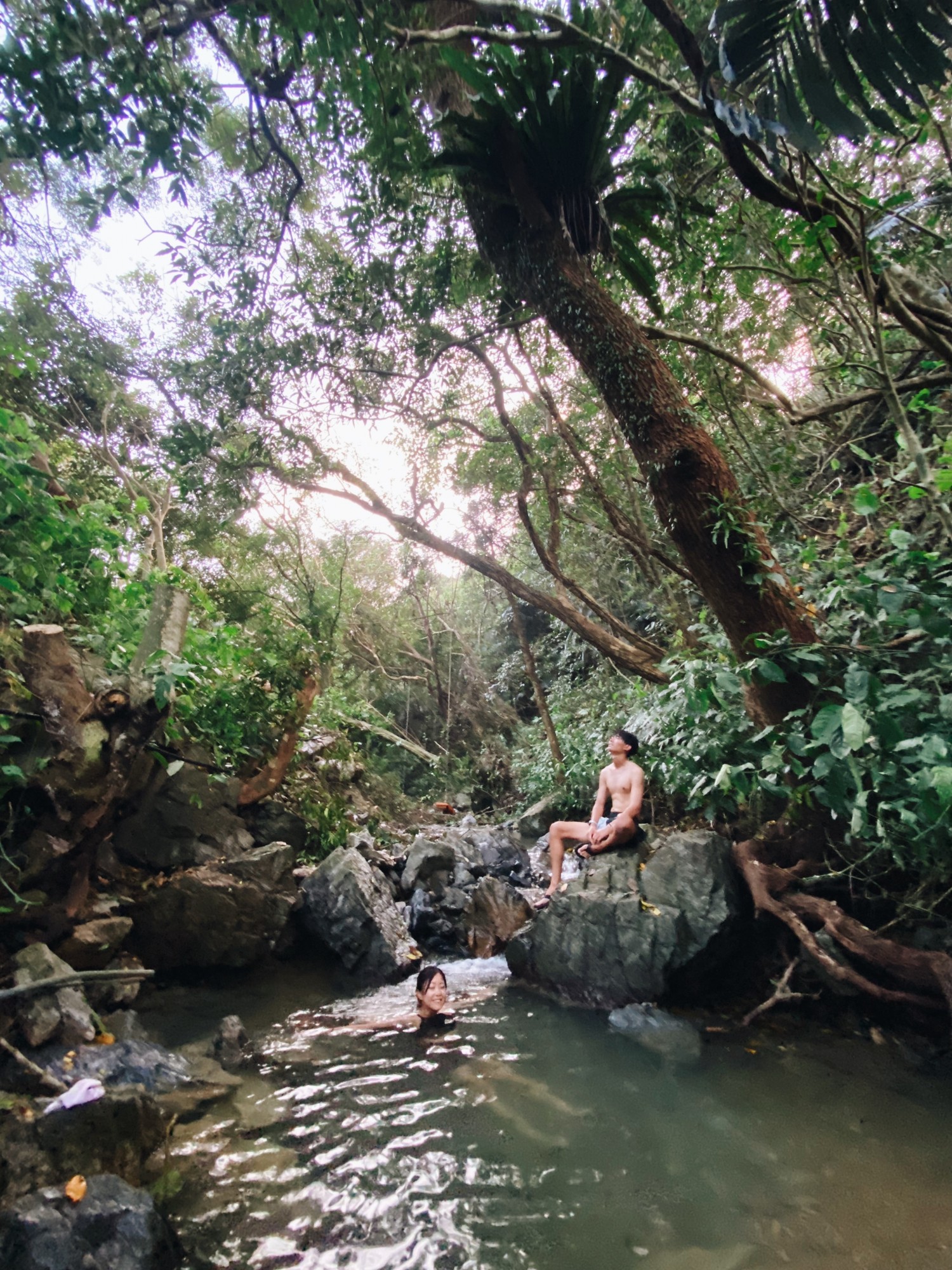 「沖縄の森林浴」 亞熱帶サウナ(名護市)