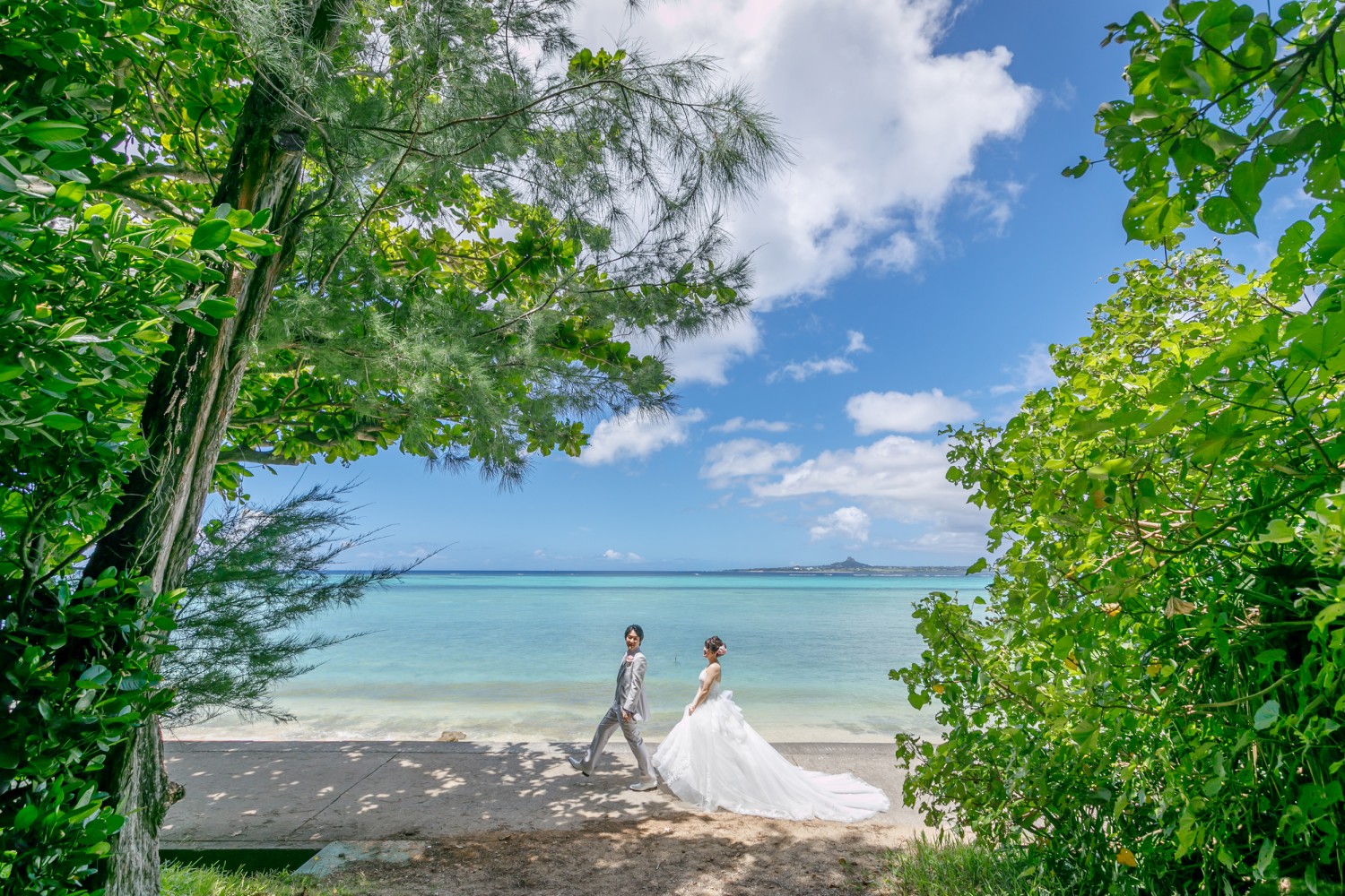 「息を合わせて１・２！１・２！」 備瀬のフクギ並木(本部町)