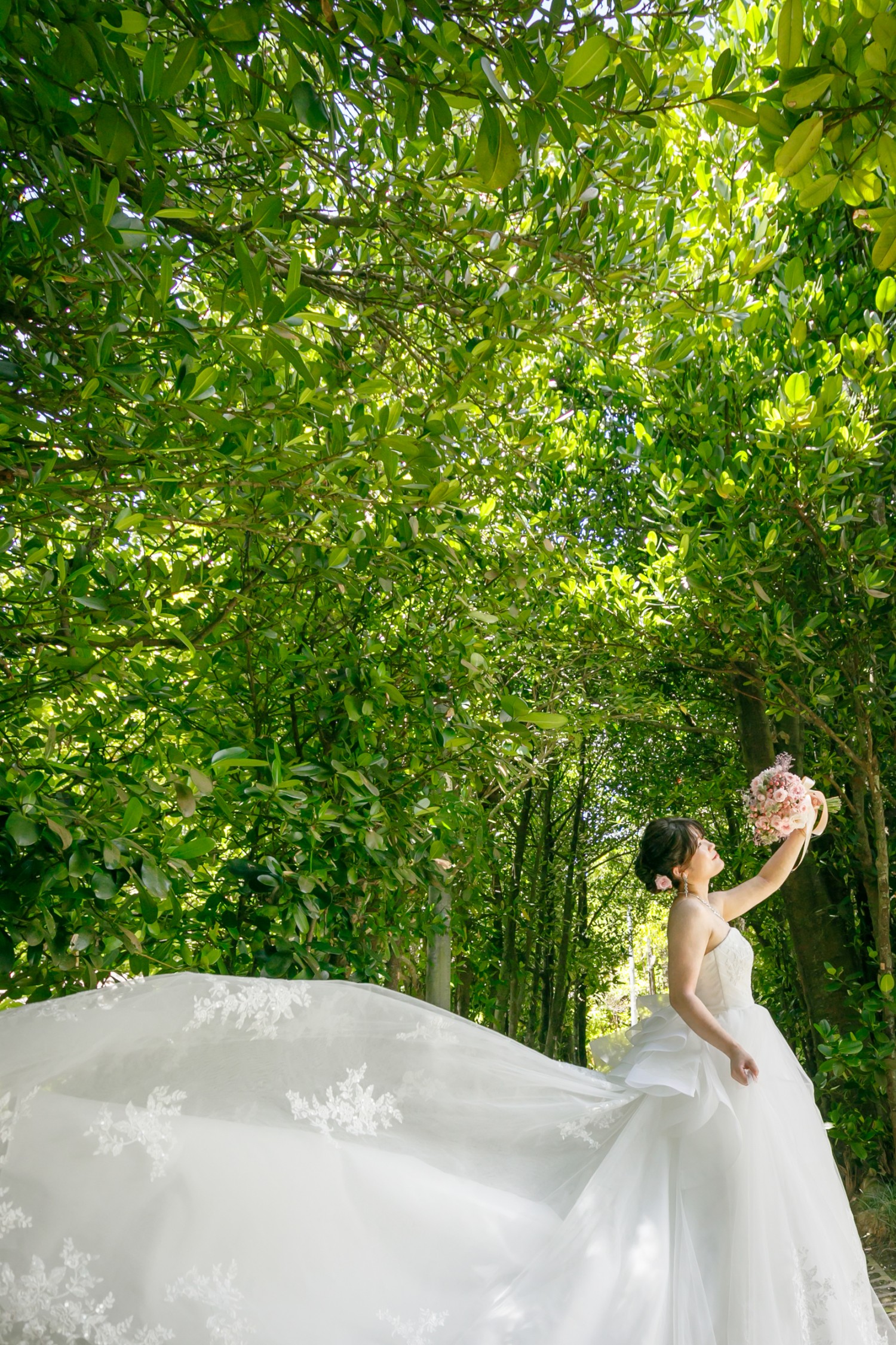 「natural」 備瀬のフクギ並木(本部町)