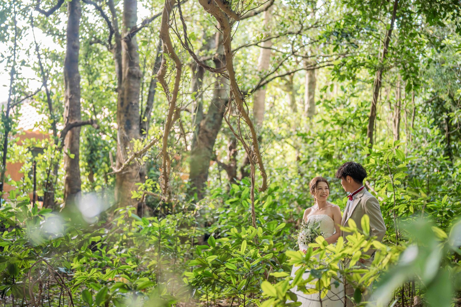 「緑の光に包まれて」 フクギ並木(本部町)