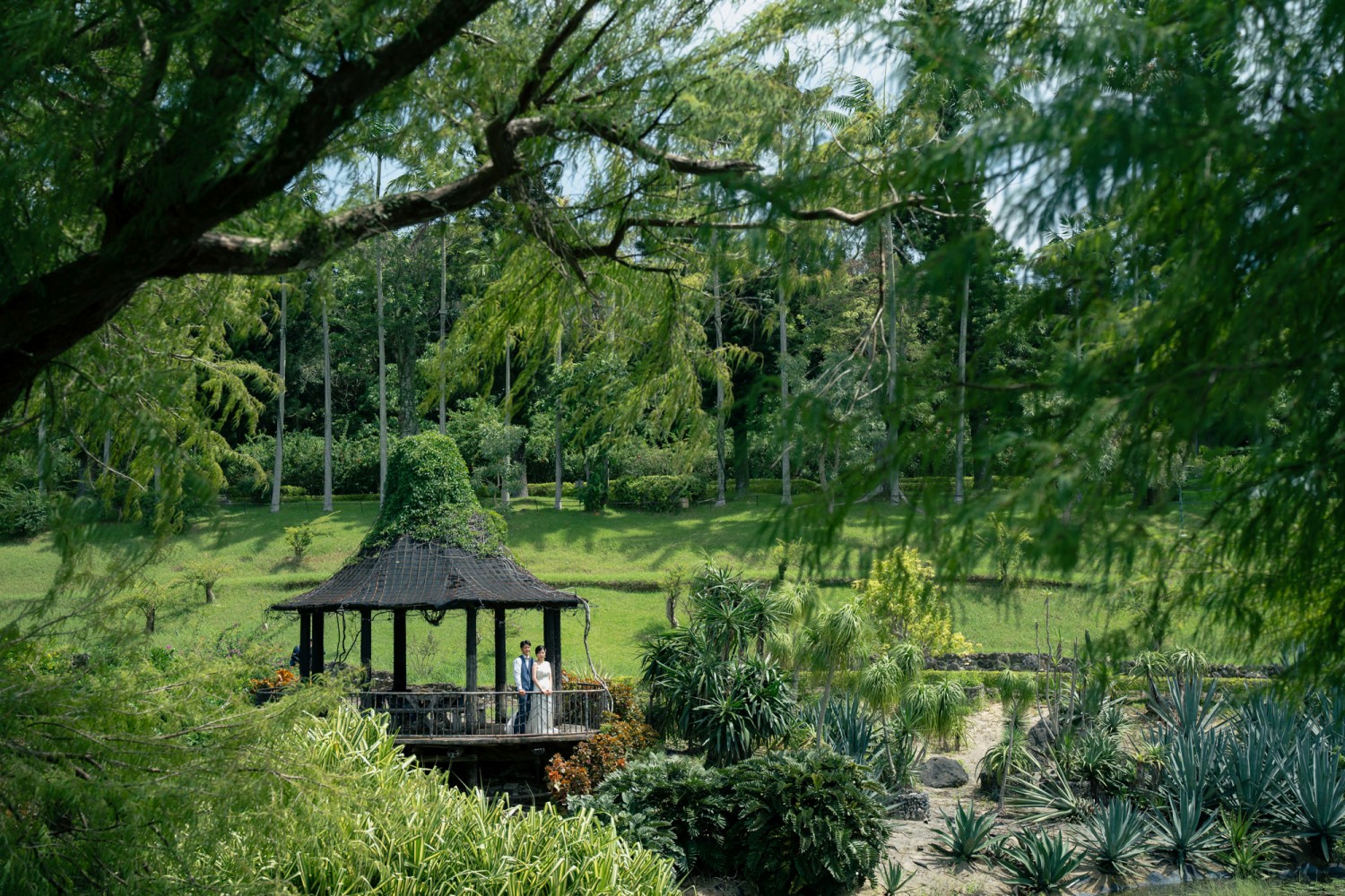 「緑にかこまれて」 東南植物楽園
