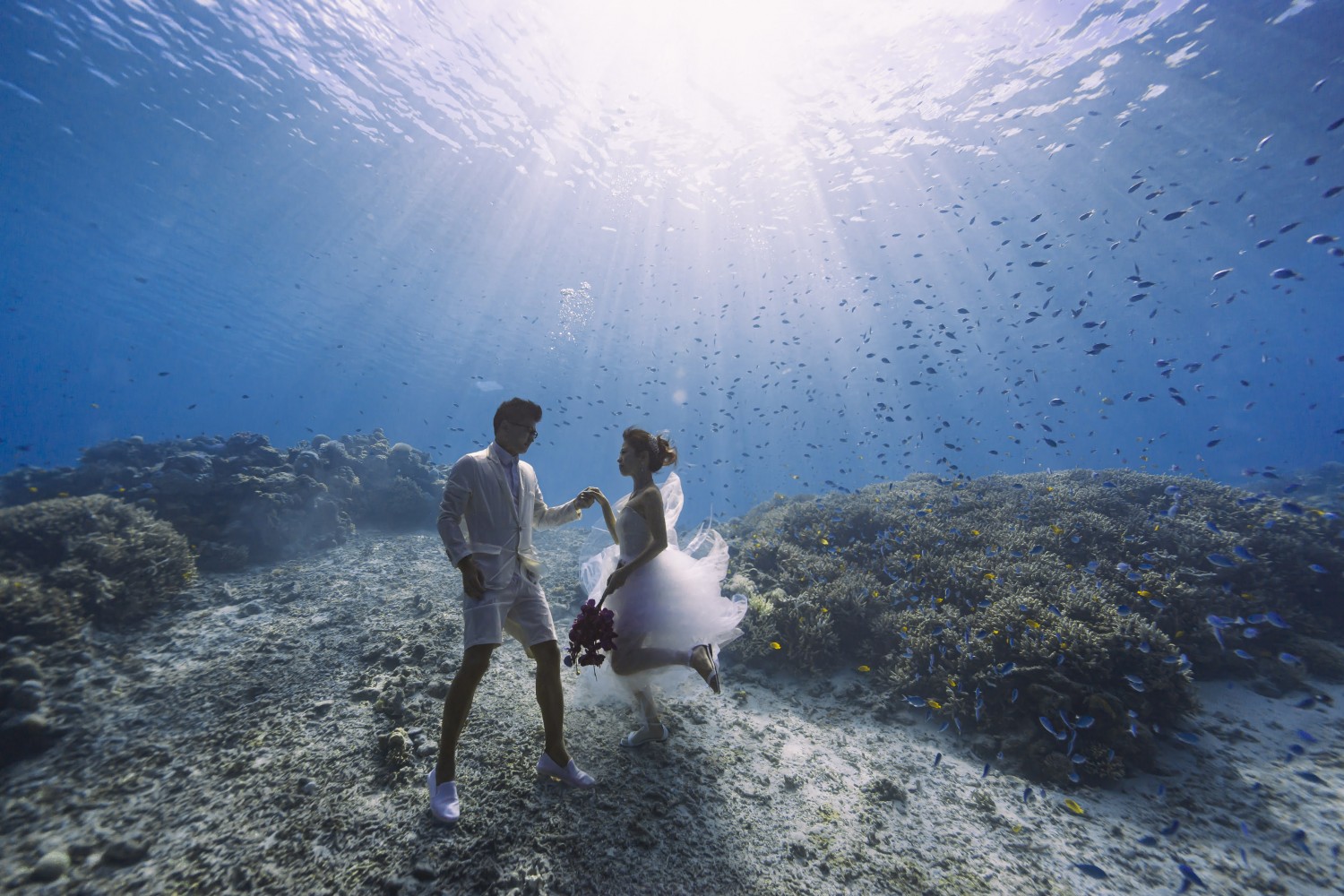 「deep underwater wedding」 阿嘉島