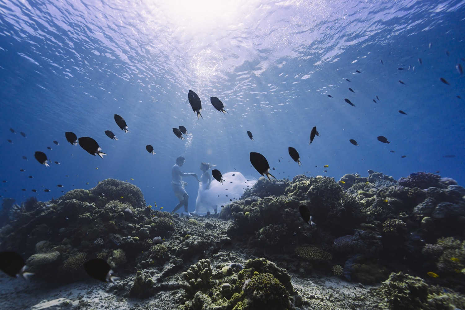 「deep underwater wedding」 阿嘉島