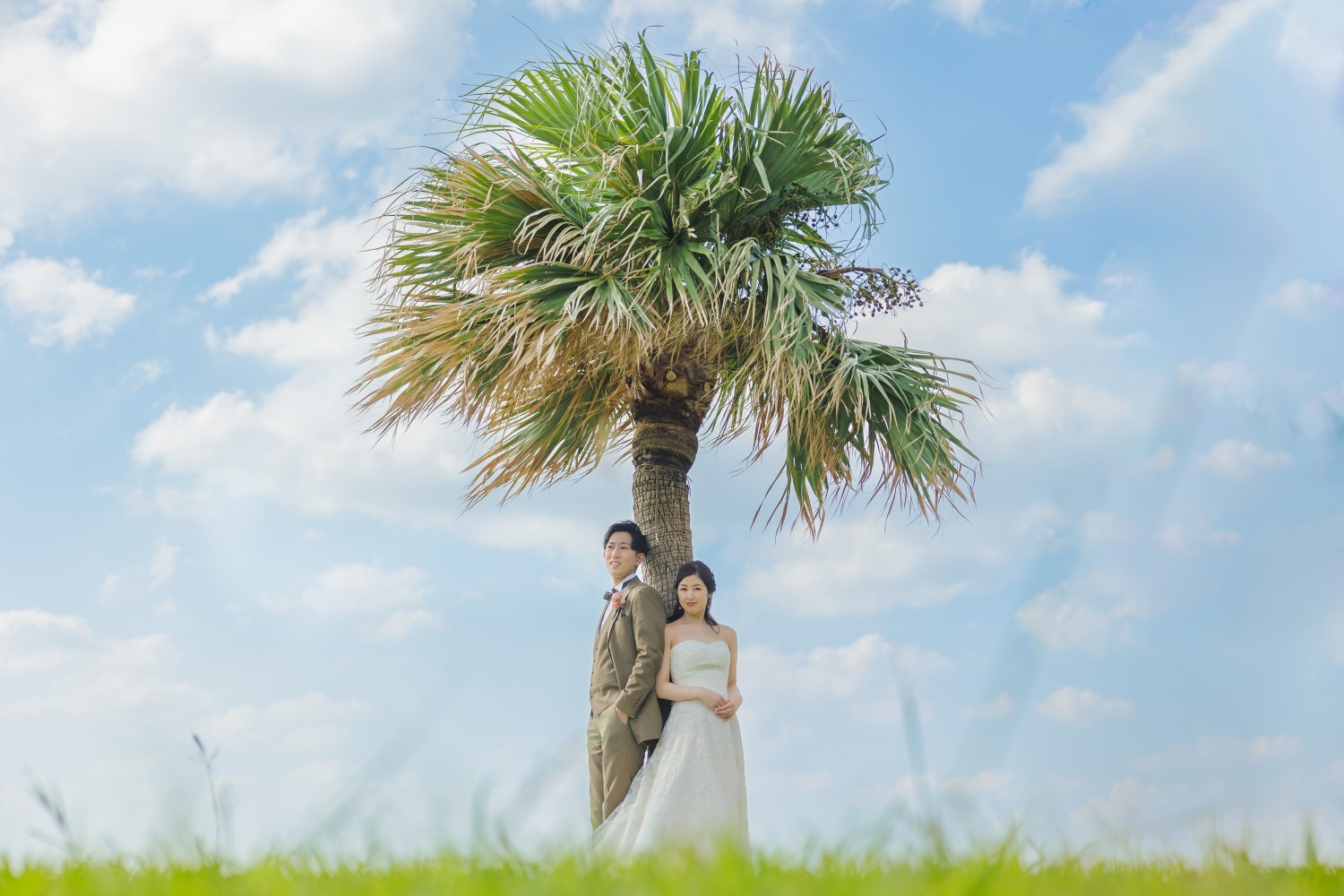 「椰子の木」 アラハビーチ(北谷町)