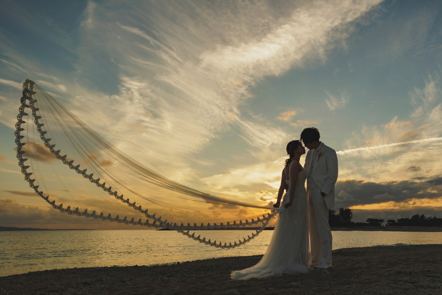 「夕焼けヴェール」 21世紀の森公園(名護市)