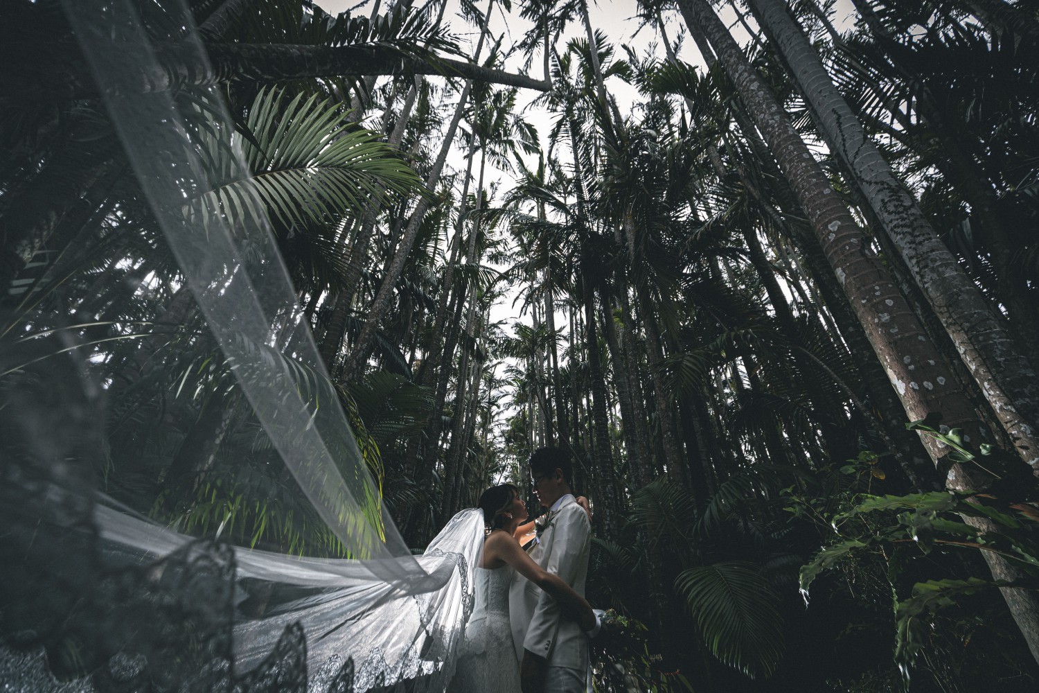 「Wings」 東南植物楽園