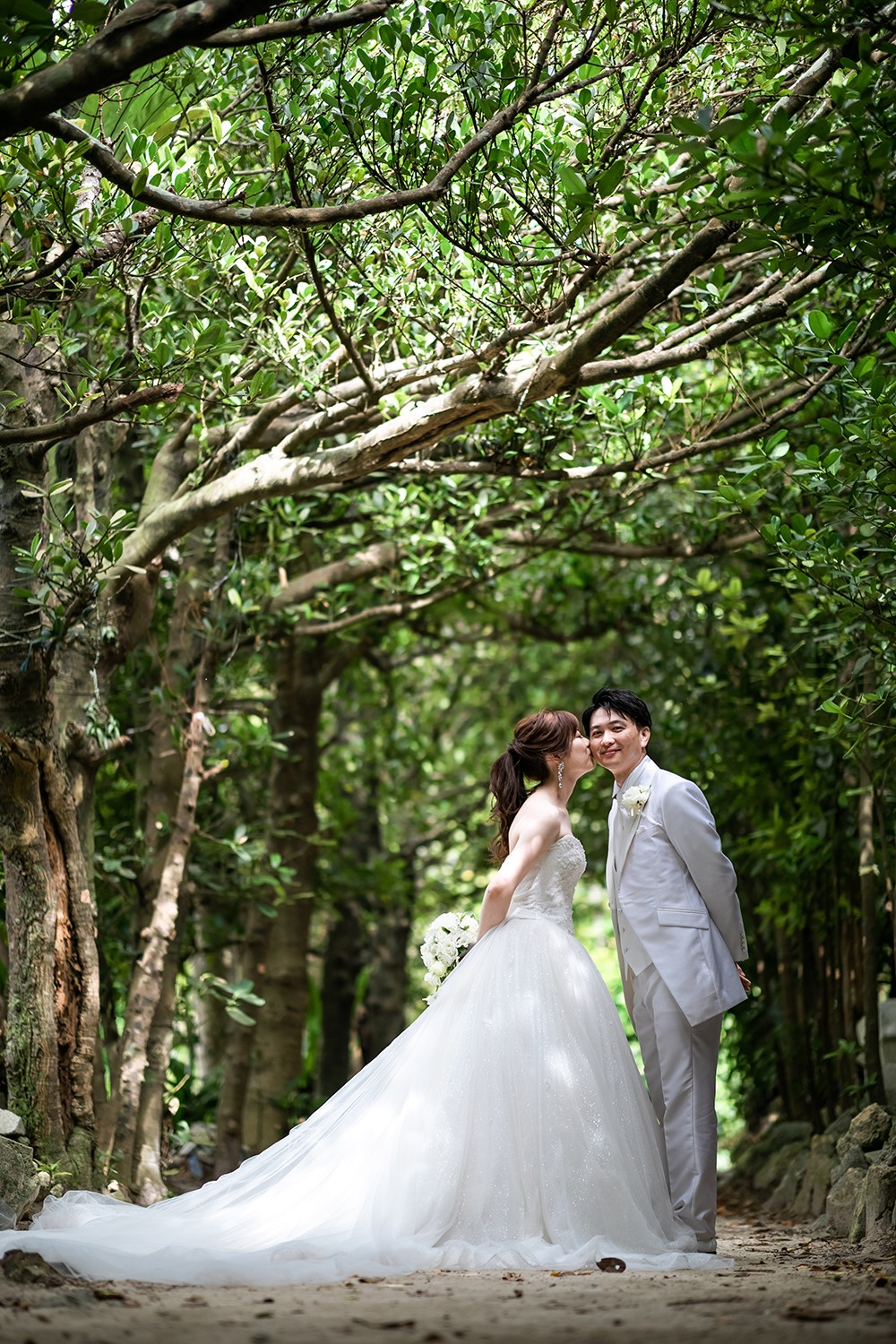 「優しい微笑み」 フクギ並木(本部町)