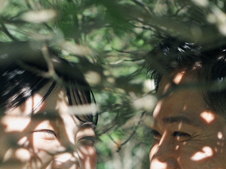 作品名「leaflight」