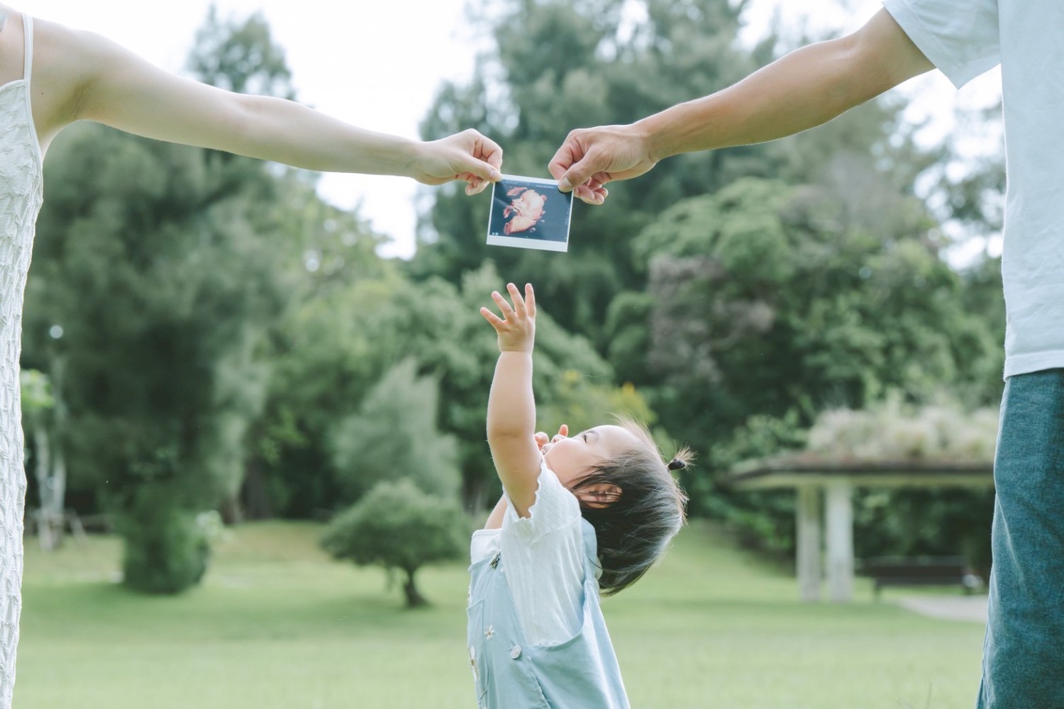 「お姉ちゃんになるんだ！！」 イルカ公園