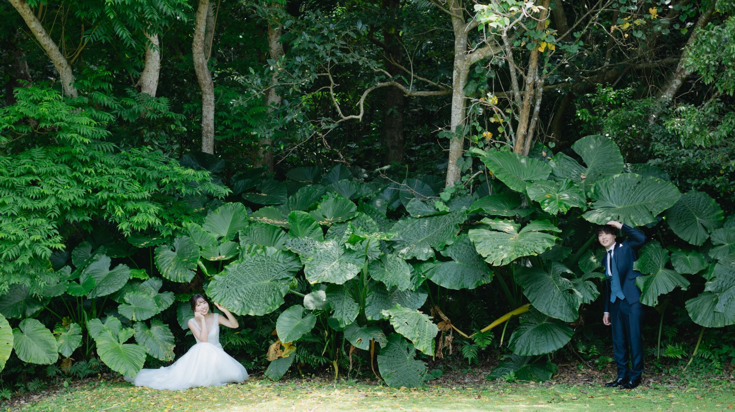 「包」 熱帯植物園(宮古島市)