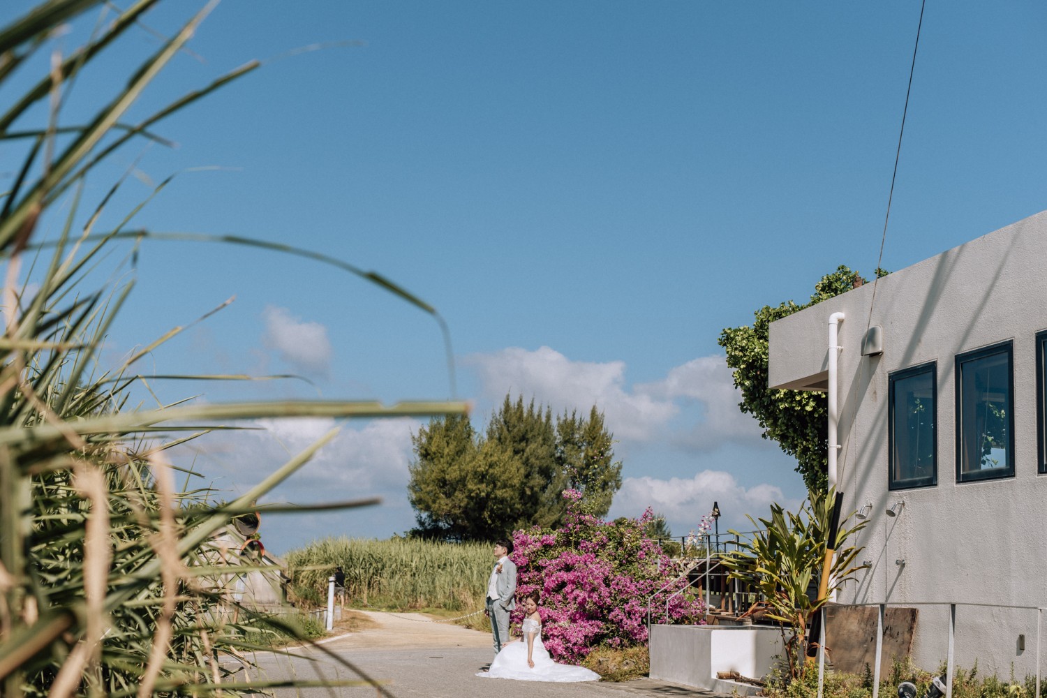 「道と花」 ザネー浜(恩納村)