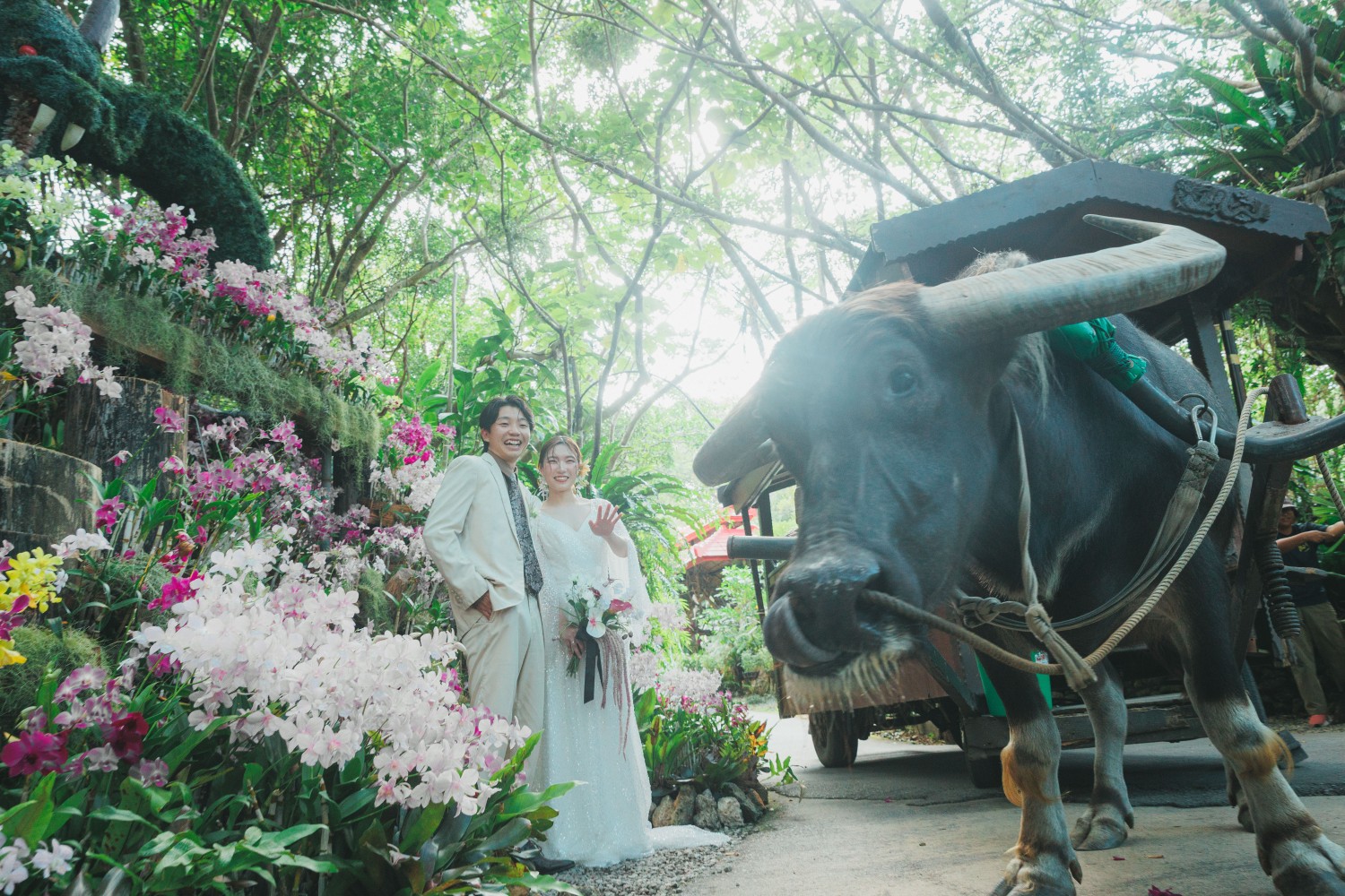 「沖縄の緑と生き物に囲まれて」 ビオスの丘(うるま市)