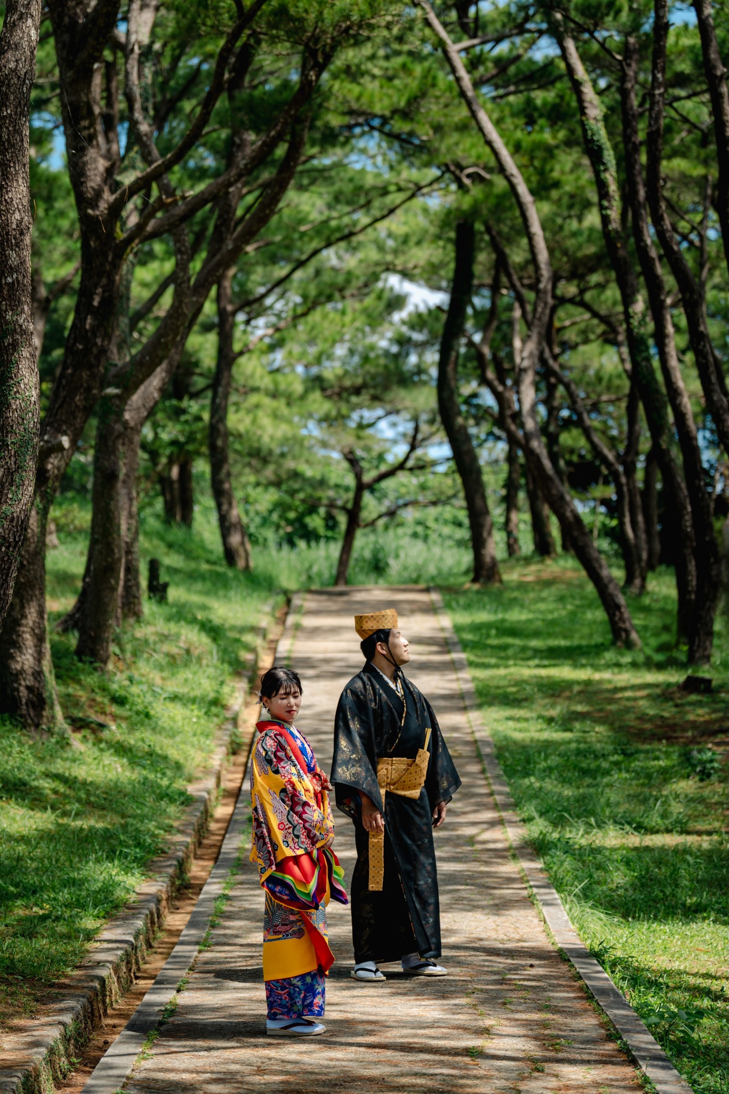 「琉球松に囲まれて」 座喜味城跡(読谷村)